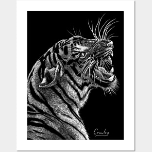 Tiger Roaring Posters and Art